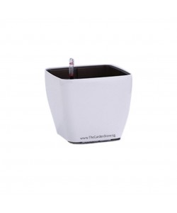 Ø20/14.7 x 17cm Square Cup Self-Watering Pot By AquaLuxe