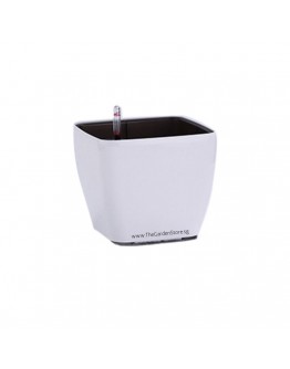 Ø20/14.7 x 17cm Square Cup Self-Watering Pot By AquaLuxe