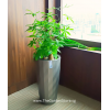 Ø39.4/26.5 x 75.56cm Diamante Self-Watering Pot By AquaLuxe