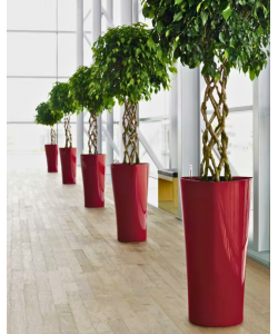 Ø29.5/20.6 x 56.3cm Elle Alto Self-Watering Pot By AquaLuxe