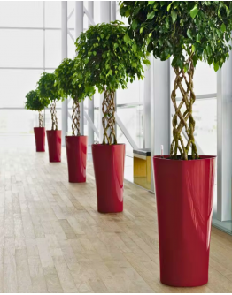 Ø29.5/20.6 x 56.3cm Elle Alto Self-Watering Pot By AquaLuxe