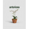 Amalia Orchid Pot Terracotta from Portugal