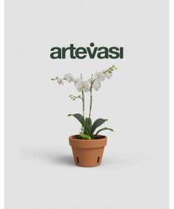 Amalia Orchid Pot Terracotta from Portugal