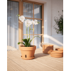 Amalia Orchid Pot Terracotta from Portugal
