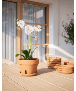 Amalia Orchid Pot Terracotta from Portugal