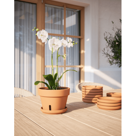 Amalia Orchid Pot Terracotta from Portugal