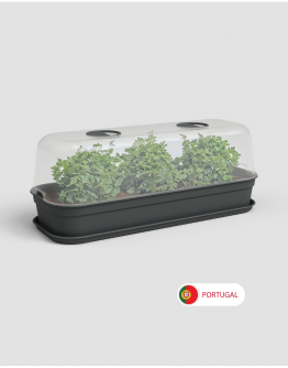 Madagascar Grow Kit Set By Artevasi Portugal