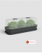 Madagascar Grow Kit Set By Artevasi Portugal