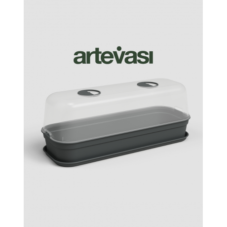 Madagascar Grow Kit Set By Artevasi Portugal