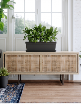 Madagascar Rectangular Saucer By Artevasi