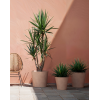 Manuel Pot By Artevasi Antique Colour