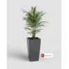 Pisa Pot 78 with Self Watering System
