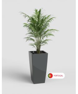 Pisa Pot 78 with Self Watering System
