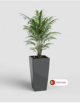 Pisa Pot 78 with Self Watering System