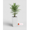 Pisa Pot 78 with Self Watering System