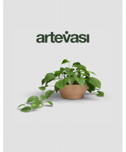 Saramago Bowl By Artevasi in Antique Colour