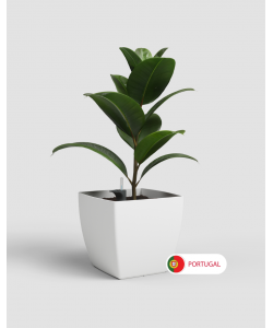 Siena Pot 40 with Self Watering System and wheels