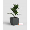 Siena Pot 40 with Self Watering System and wheels