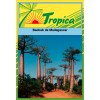 BaoBab Seeds By Tropica The Iconic Tree of Life