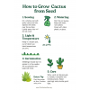 Cactus Seeds By Tropica -  Exotic & Drought-Tolerant Variety Mix