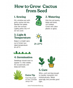 Cactus Seeds By Tropica -  Exotic & Drought-Tolerant Variety Mix