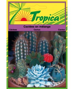 Cactus Seeds By Tropica -  Exotic & Drought-Tolerant Variety Mix