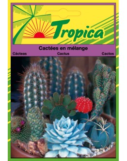 Cactus Seeds By Tropica -  Exotic & Drought-Tolerant Variety Mix