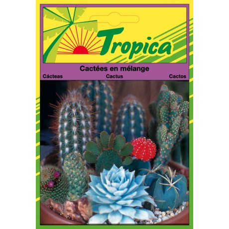 Cactus Seeds By Tropica -  Exotic & Drought-Tolerant Variety Mix