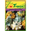 Ornamental Gourd Seeds By Tropica - Crown of Thorns Gourd