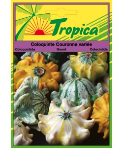 Ornamental Gourd Seeds By Tropica - Crown of Thorns Gourd