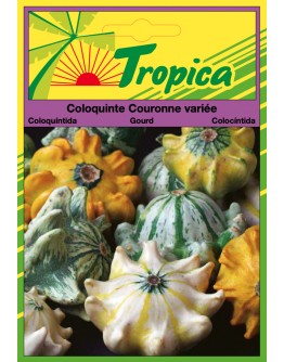 Ornamental Gourd Seeds By Tropica - Crown of Thorns Gourd