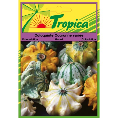 Ornamental Gourd Seeds By Tropica - Crown of Thorns Gourd