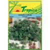 Coriander Seeds By Tropica (5g per pack) Fragrant & Fast-Growing Herb