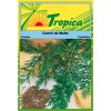 Cumin Seeds By Tropica Aromatic & Culinary Essential