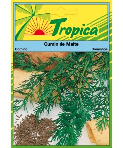 Cumin Seeds By Tropica Aromatic & Culinary Essential