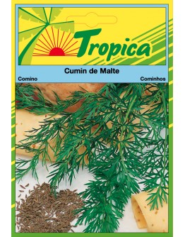 Cumin Seeds By Tropica Aromatic & Culinary Essential