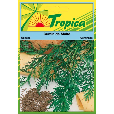 Cumin Seeds By Tropica Aromatic & Culinary Essential