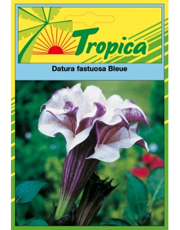 Datura Seeds - Purple Devil’s Trumpet By Tropica 