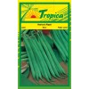 French Beans - Alyze Bean Seeds By Tropica (100g per pack)