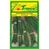Long Bean Seeds By Tropica (50g per pack)