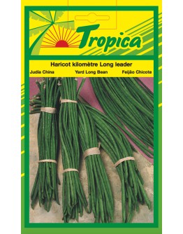 Long Bean Seeds By Tropica (50g per pack)