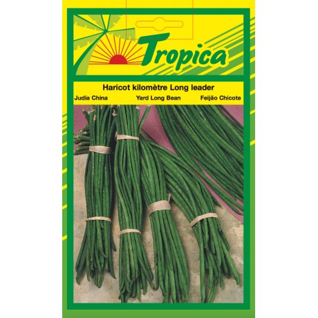 Long Bean Seeds By Tropica (50g per pack)