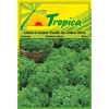 Green Oak Leaf Lettuce Seeds By Tropica (4g per pack) Tender, Crisp & Cut-and-Come-Again