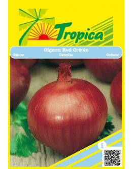 Red Onion Seeds By Tropica (4g per pack) Bold Flavour