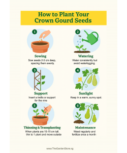 Ornamental Gourd Seeds By Tropica - Crown of Thorns Gourd