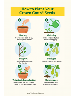Ornamental Gourd Seeds By Tropica - Crown of Thorns Gourd