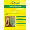 Papaya ADAMAOUA Seeds By Tropica