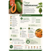 Papaya ADAMAOUA Seeds By Tropica