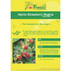 Strawberry Seeds By Tropica Fraise des Bois 'Regina'