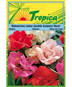 Balsam Seeds By Tropica